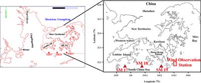 Role of Winds in Interrupting the Formation of Coastal Hypoxia